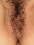 Free Asian Amateur picture